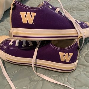 University of Washington Huskies SKICKS- size 9
